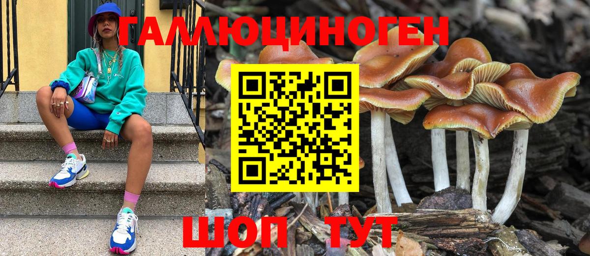 Псилоцибиновые грибы GOLDEN TEACHER  Вход с VPN  наркошоп  Новочебоксарск 
